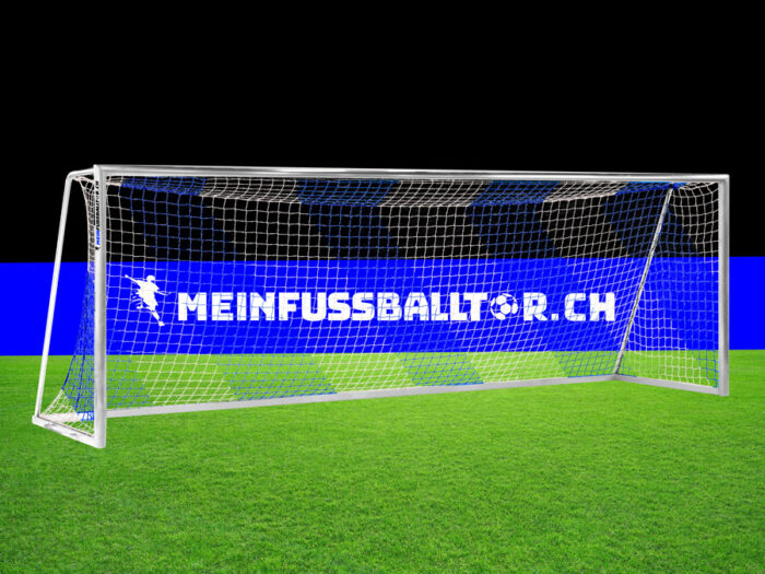 Tornetz für Fussballtor 750 x 250 cm | Blau-Weiss | Netzbügel