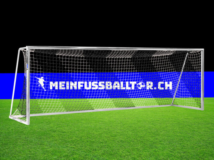 Tornetz Fussballtor SCHWARZ-WEISS - Netzbügel 750 x 250 cm / 80 x 200 cm
