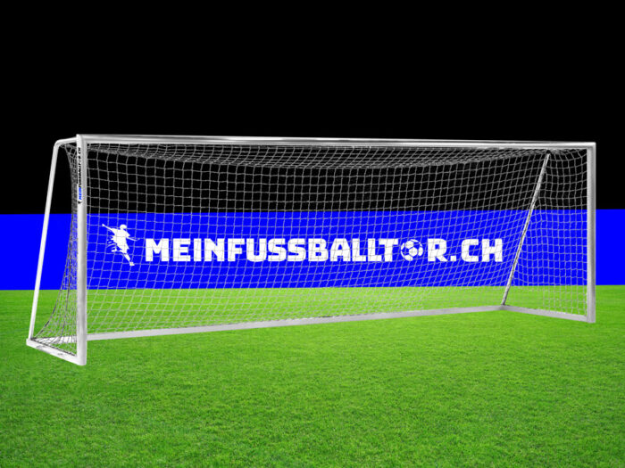 Tornetz für Fussballtor 750 x 250 cm | Weiss - meinfussballtor.ch