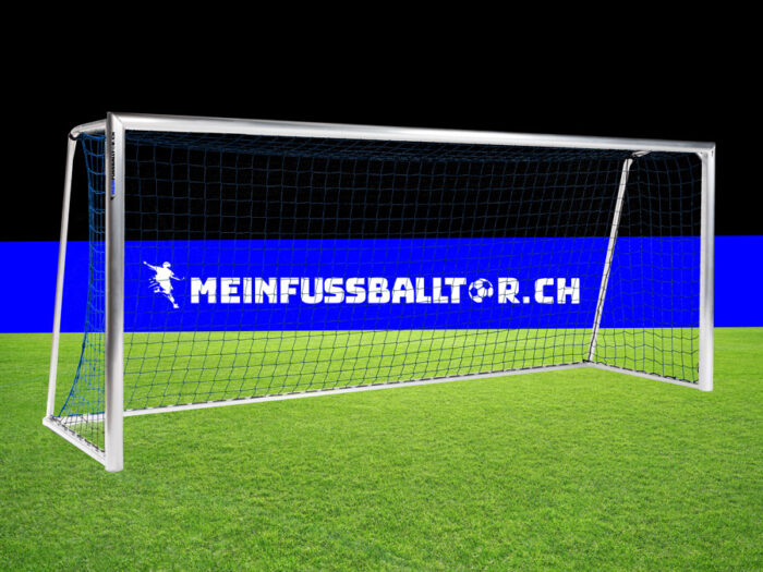 Tornetz für Fussballtor 500 x 200 cm - Blau