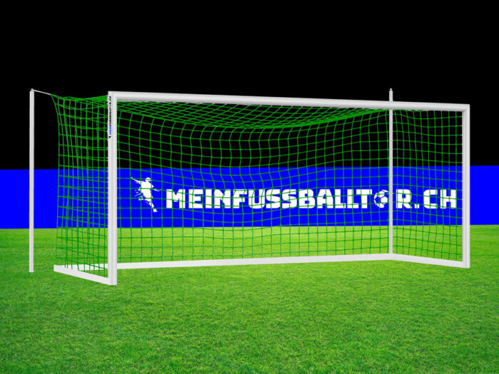 Tornetz für Fussballtor 750 x 250 cm | Grün - meinfussballtor.ch