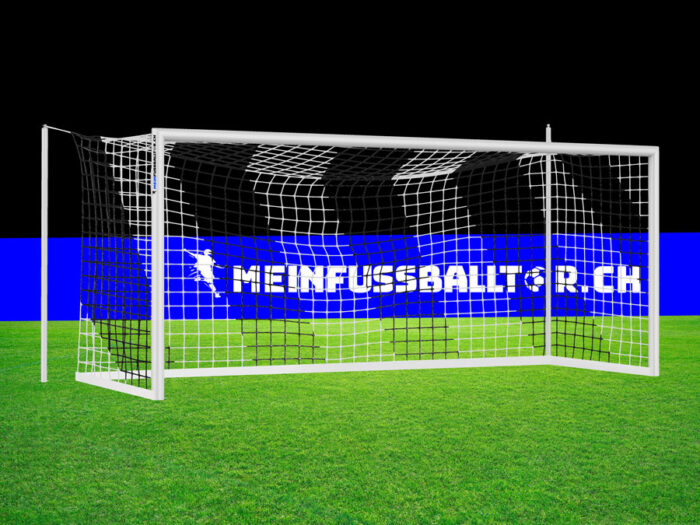 Tornetz Fussballtor SCHWARZ-WEISS - 732 x 244 cm - Meinfussballtor.ch